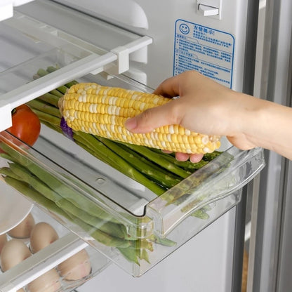 Boite de rangement frigo - suspendue et coulissante.